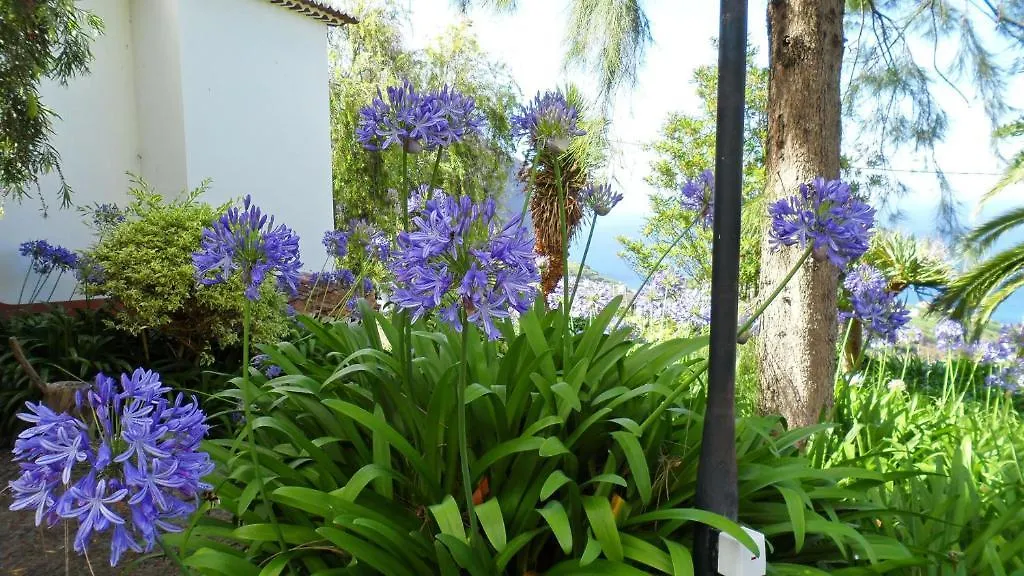 Quinta Da Capela Guest House Porto Da Cruz 4*,  Portugal